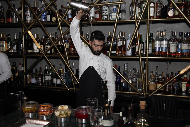 Launch of  FIFTYSIX® collection by Vacheron Constantin